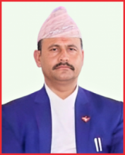 नगर प्रमुख